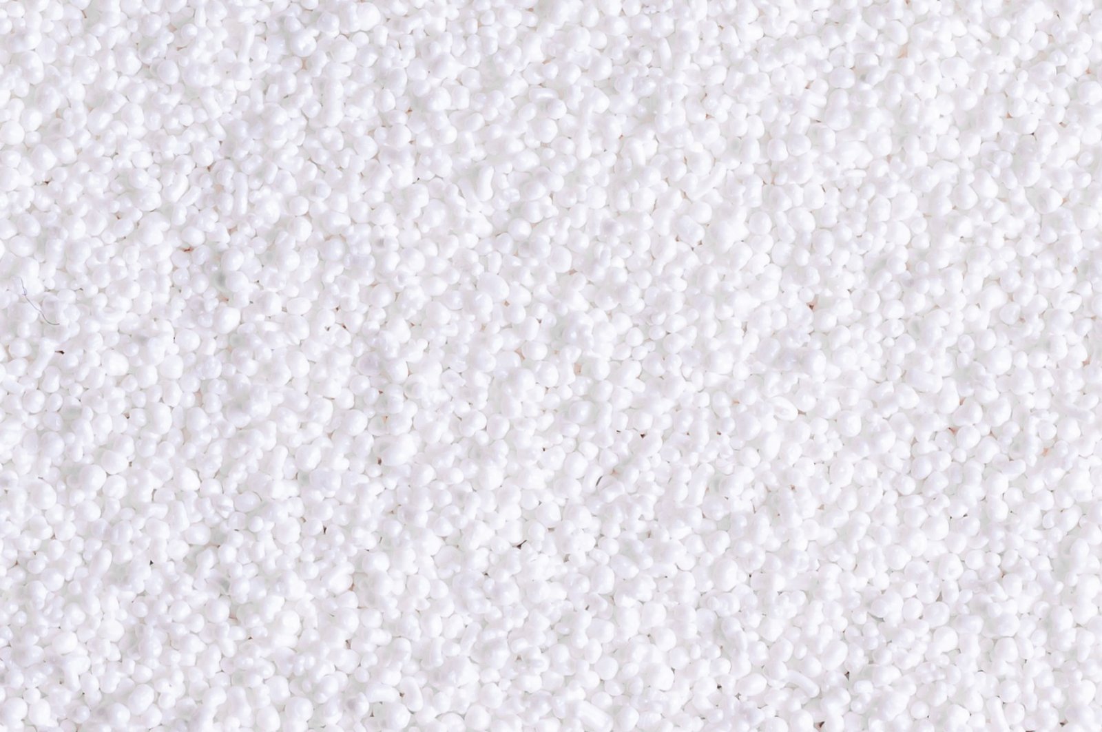 jpeg-optimizer__SAP9448-3